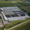 Dallas Johnson Greenhouses